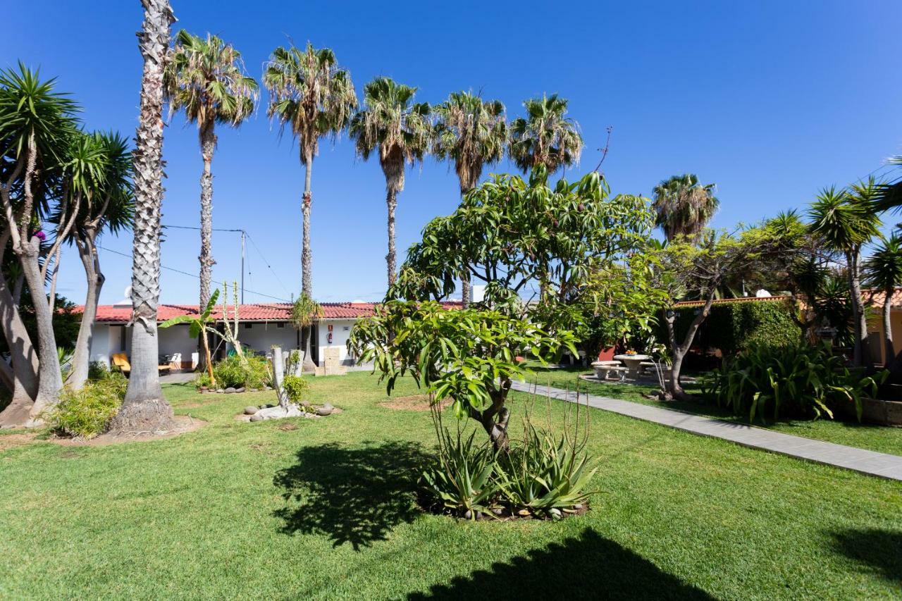 Finca La Gaviota - El Rincon Icod De Los Vinos Esterno foto